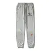 James Men Pants Men Designer Pants Splash-Cink Gallerpants Wysokiej jakości spodnie High Street Casual Spits Spodnie dla mężczyzn i kobiet