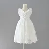 Robes en tulle en dentelle ondulée pour filles, vêtements de princesse à revers, en gaze falbala, pour enfants, robe de fête d'anniversaire, été 2024, Z6506