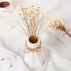 Fiori decorativi 100-150 pezzi Natural Small Star Daisy Dry Wedding Decor Piccolo bouquet di fiori di camomilla Decorazione natalizia settentrionale