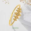 Van Clover Armband 2024 Ny dubbelsidig ormformad armband Kvinnlig Gilded Four Leaf Clover Inlaid Process Nail Zircon With Box