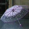 Umbrellas Transparent Umbrellas For Protect Against Wind And Rain Clear Sakura 3 Fold Umbrella Clear Field Of Vision Household Rain Gear YQ240105