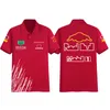 2024 New F1 racing suit T-shirt Team Summer Short-sleeved T-shirt with mens custom plus size