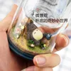 Creative Micro Landscape Chinchilla Portable Cute Glass Cartoon Korea Super Lovely Female Students Isolated Double Water Bottl 240105