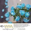 1 st USB LED Rose String Lights -Color: Warm White Light+Flowers 20 Bubble Flower Fairy Lights For Party Surprise, Garden, Outdoor Decor, Soft and Romantic atmosciple