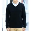 Wool Cashmere Sweater Men's Vneck Knitted Pullover Autumn Business Casual Classic Loose Bottoming Shirt High Quality 240104