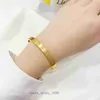 Pulsera de moda Neumáticos de automóvil Damas Oro rosa Plata Brazalete para dama Tarjeta de lujo ligera clásica Hebilla de tornillo para el hogar Tocado de aleación de cobre con caja original