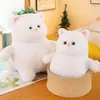 Juguete suave para gato, juguete de peluche de gato blanco esponjoso, almohada de peluche suave, muñeco de gatito de dibujos animados, adorno de sofá elástico, cumpleaños para niños 240105