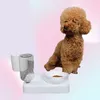 New Feeder Dog Cat Food Water Fountain Double bowl Drinking Raised Stand Dish Bowls With Pet Supplies Y2009222066331