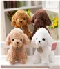 18 cm Simulering Teddy Dog Poodle Plush Toys Cute Animal Suffed Doll för julklapp Kids Toy EEA2641000946