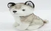 Husky hond knuffels kleine knuffels pop speelgoed 18 cm Gift Kinderen Kerstcadeau Gevulde Pluche speelgoed8208621