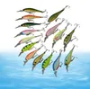Whole Lot 30 Fishing Lures Frog Lure Fishing Bait Crankbait Fishing Tackle Insect Hooks Bass 62g85cm5275852