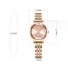 Hot Selling Par Watch Quartz Steel Band Women's Small Gold Watch Korean Version Buckle Waterproof Women's Watch Fashionable