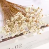 Fiori decorativi 100-150 pezzi Natural Small Star Daisy Dry Wedding Decor Piccolo bouquet di fiori di camomilla Decorazione natalizia settentrionale