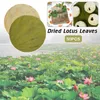 Flores decorativas 50 piezas de disco de hojas de loto secas naturales para cocina al aire libre bandeja de comida arroz glutinoso accesorios para hacer pollo