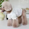 Vestuário para cães outono inverno forro de renda roupas para animais de estimação gato teddy designer roupas filhote de cachorro camisa