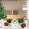 Party Decoration Diy Snow Globe Liten Snowglobe Tom Water Globes Christmas Clear Plastic Unikt Compact For Crafts