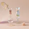 Iriserande ljusstakar Rainbow Nordic Vase Flower Home Decoration Nordic Table Decor Room Decor Glass Candle Stick Holder 240106