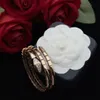 Exquisite Gift Jewelry Viper Serpent Style Designer Bracelet Fashion Charm Diamond Bangle High Quality Gold Rose Gold and Silver