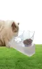 Schattige kattenvoerbak met 15° gekanteld verhoogde standaard Beschermde halswervelkolom Kattenvoer Waterbak Antislip voerbak voor katten Kleine honden 24457801