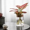 Vases Transparent Glass Vase Home Decoration Green Plants Hydroponic Bottle Moss Micro Landscape Tabletop Decor Ornaments