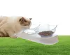 Tigelas fofas para gatos com suporte elevado inclinado em 15 °, coluna cervical protegida, tigelas de água para comida de gato, tigelas antiderrapantes para animais de estimação para gatos, cães pequenos 28855528