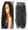 new style Mongolian human curly hair weft clip in hair extensions unprocessed curly natural black color human extensions can be dy4305284