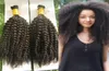 Moğol gevşek Afro Kinky Kıvırcık Tığ Örgileri Mikro Örgü 200g Örgü Saç Toplu Gevşek Saç 2 PCS İnsan Örgü Saç Bulk3595645