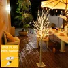 Decorações de Natal 90cm de altura LED Birch Tree Light 60LEDs USB operado com interruptor Decoração de paisagem para festa em casa casamento