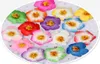 100pcs 9cm Frangipane Frangipani Flower Sinensis Flower Head Artificial Tropical Hibiscus 16 colors7059484