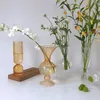 Transparent Flower Vase Nordic Decorative Vase Hydroponic Holder For Plant Aromaterapy Bottle Container Room Desktop Decor 240105