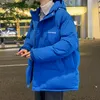 メンズの新しい冬のぬいぐるみ、青少年トレンディなブランドパン、冬の服、メンズコットンジャケット