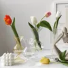 Transparent Flower Vase Nordic Decorative Vase Hydroponic Holder For Plant Aromaterapy Bottle Container Room Desktop Decor 240105