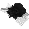 Bandanas Fashion Women's Ladies Flower Decor Hair Clip Fascinator Burlesque Punk Mini Hat - One Size (Black)