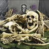 Decoração 27 peça/set os ossos de Halloween complicado Housed Housed Horror Skeleleton Skull Prop Party Decorações Y201006