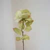 Fleurs décoratives 10 pièces fleur de Rose artificielle Bouquet de saint-valentin fournitures de fête Pinterest décor de salle accessoires de décoration de Table