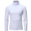 Mode Men's Casual Slim Fit Basic Turtleneck High Collar Pullover Male Autumn Spring Thin Tops Basic Bottoming Plain T-Shirt 240106