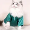 Trajes de gato camisa de smoking para roupa formal elegante traje de aniversário moda vestuário fantasia roupas casamento