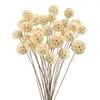 Decorative Flowers Dried Craspedia Billy Balls Natural Bouquet For Boho Floral Arrangements Wedding Table Centerpieces Decor