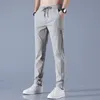 Мужские брюки из ледяного шелка, однотонные, со средней талией, свободные дышащие повседневные брюки прямого кроя, тонкие быстросохнущие спортивные брюки 240106