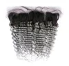 Ombre Silver Grey Virgin Brazilian Human Hair 13x4 Full Lace Frontal Deep Wave Wavy 1BGrey Ombre Lace Frontal Closure with Baby H8834230