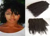 Burmese Kinky Curly Clip in Human Hair Extensions for African American 7 pcsset 120g GEASY7381139