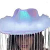 Berets Funny Party Hats Cowboy Hat For Womens Glitter Tassels Western Furry Trims Costume Dress Up