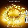 1 Stück Feen-Cluster-Kracher-Lichter für Girlanden-Kranz-Mantel-Dekoration, 3 m/100 LEDs, USB-Stecker, 8 Funkeln-Modi, Fernbedienung mit Timer, wasserdichtes Licht