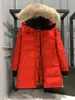 Женский пуховик парка-пуховик женское пальто Puffer Jacket Мужская женская дизайнерская пуховик Ветровка Верхняя одежда Высокое качество Классическое пальто Пуховик Размер XS-XL Z6