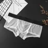 Mutande Boxer da uomo sexy Slip con custodia rigonfia Intimo bikini Mutandine traspiranti trasparenti in rete super morbida Lingerie solida