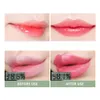 Neue Promotion Veganer Lipgloss Farbwechsel-Lippenstift Aloe Vera Lippenstift