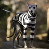 Vêtements à rayures pour chiens pour lévriers Veste whippet manteau de veste chaude à deux pattes Salopes d'étirement à col roulé