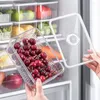 Garrafas de armazenamento transparente, organizador de geladeira fresca, grande capacidade, recipientes de alimentos selados com tampa empilhável