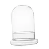 Flaskor Mikro Landskap Vas Container Plants Bottle For Party Indoor Desk