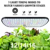 Grow Lights 12 PODS Hydroponics Growing System Garden Kit inomhus Justerbar höjd med automatisk timer 20-Valat ljus